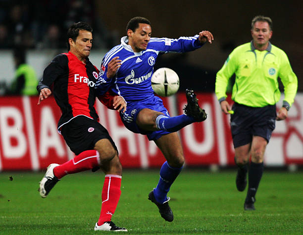 展现了过人 展现了过人